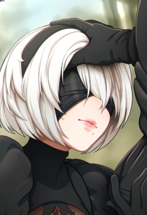 2B от Neocoil