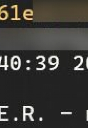 Операция С.И.Л.Ь.В.Е.Р. (Часть 1)