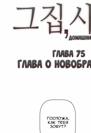 Домашние интрижки 75