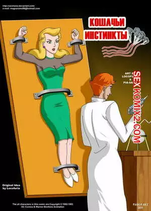 Batman. Кошачьи инстинкт. Feline Instincs