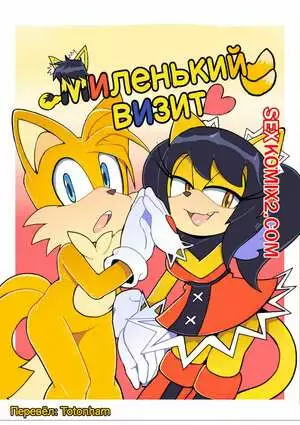 Sonic The Hedgehog. Миленький визит. Senshion