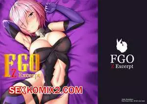 Fate Grand Order. FGO Z Excerpt. zukky