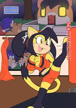 Sonic the Hedgehog. Сладкий визит. Хани. A sweet visit. Senshion