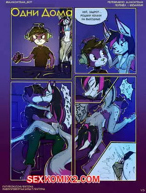 Одни Дома. Home Alone. Ratcha