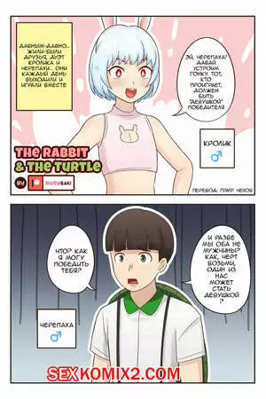 Кролик и Черепаха. The Rabbit and The Turtle