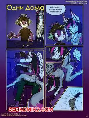 Одни дома. Home Alone