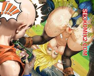 Dragon Ball. Нетораре. Netorare. VIP