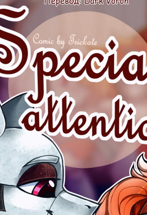 Особое внимание