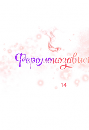 Феромонозависимые 14+экстра