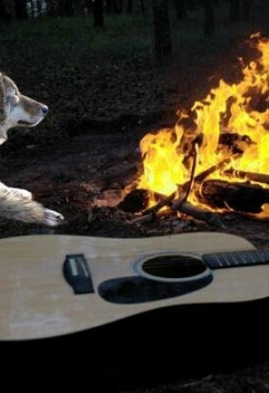 Очередная тренировка Гардевуары