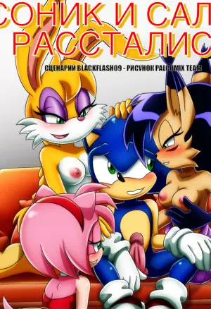 Соник и Салли расстались