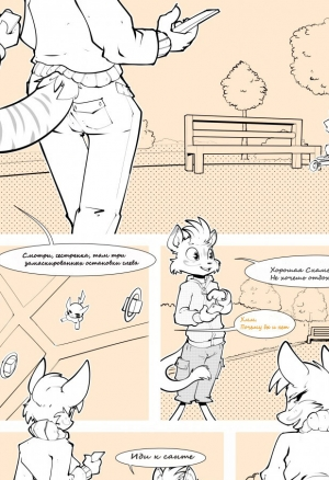 Несчастный случай в парке