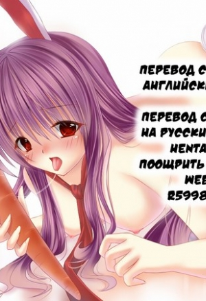 Кролики без трусиков