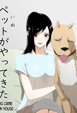 Собака в моем доме.