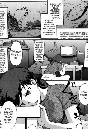 Культурная антропология ч.2