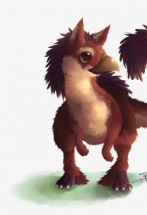 Истории дроу: Камасутра