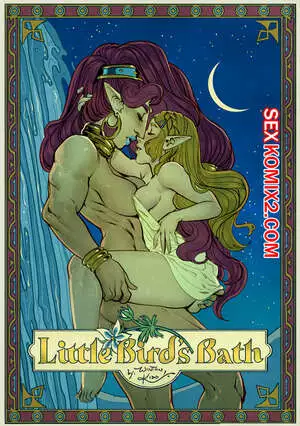 Зельда. Маленькие птицы. Little Birds Bath. WintonKidd Zelda.