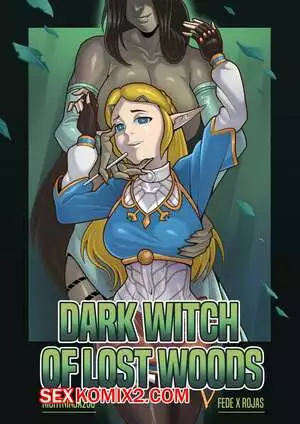 Legend Zelda. Темная ведьма затерянного леса. Dark Witch of Lost Woods. FedeXRojas.