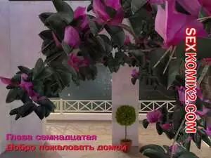 Зеркало Афродиты. Часть 17. Добро пожаловать домой. Melissa822